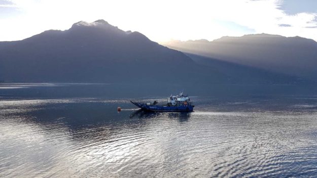 Ferry from Hornopiren