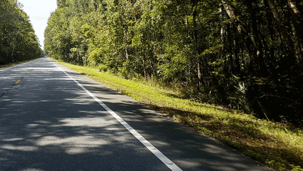 Tarpon Springs to Laguna Beach, Florida