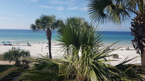 Tarpon Springs to Laguna Beach, Florida