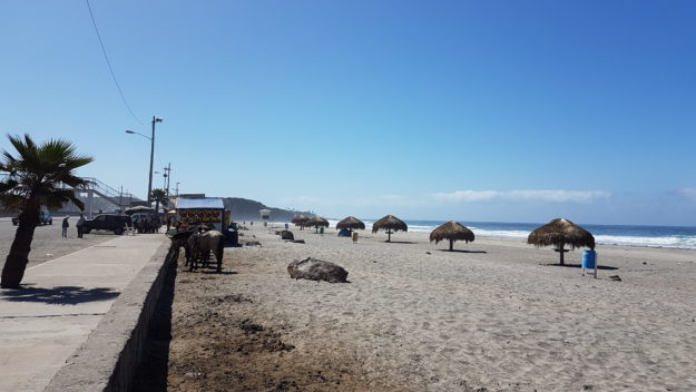 Ride Day 10: Long Beach, California to El Bajio, Baja California, Mexico