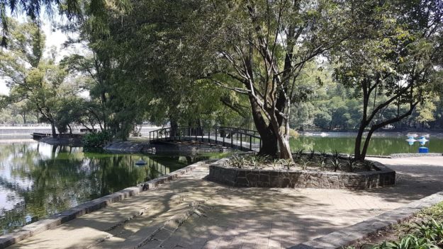 Guadalajara to Mexico City