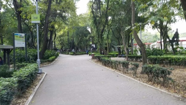 Guadalajara to Mexico City