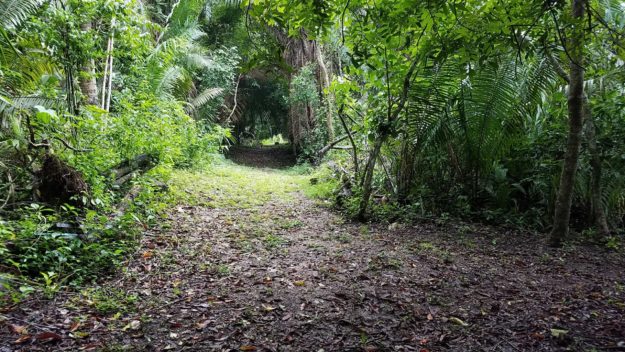 Lower Dover Field Station & Jungle Lodge