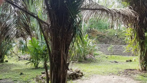 Lower Dover Field Station & Jungle Lodge