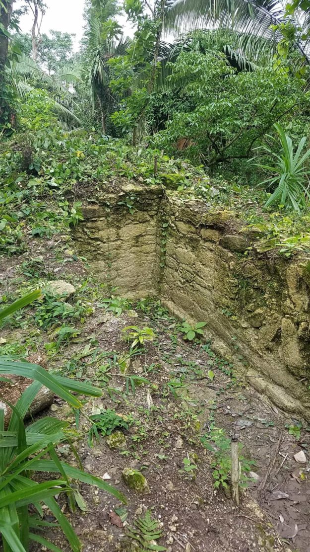 Lower Dover Field Station & Jungle Lodge