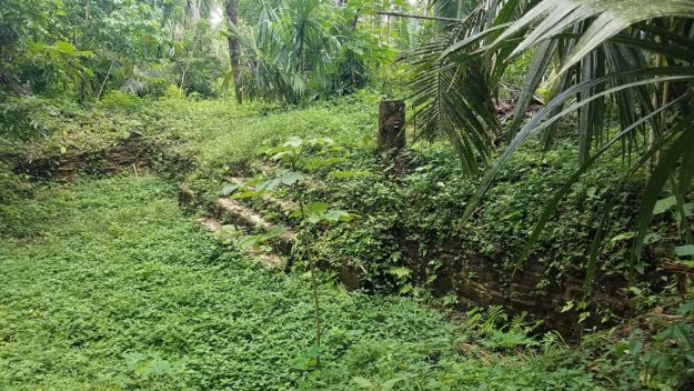 Lower Dover Field Station & Jungle Lodge