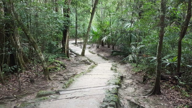 Tikal Ancient City