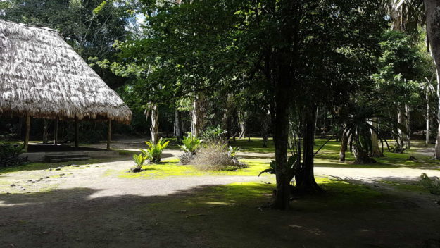 Tikal Ancient City
