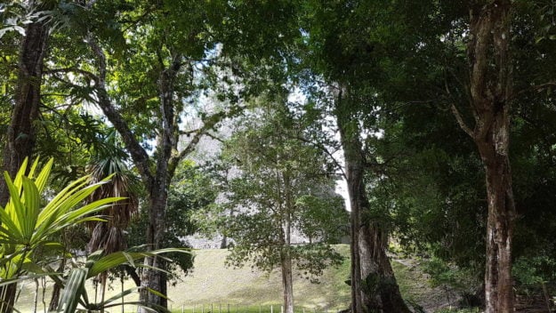 Tikal Ancient City