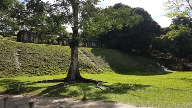 Tikal Ancient City