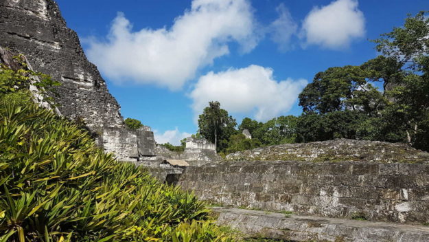 Tikal Ancient City