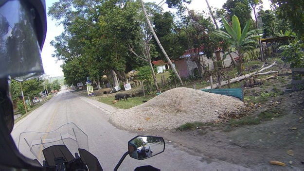 Peten Flores to Tikal Ancient City