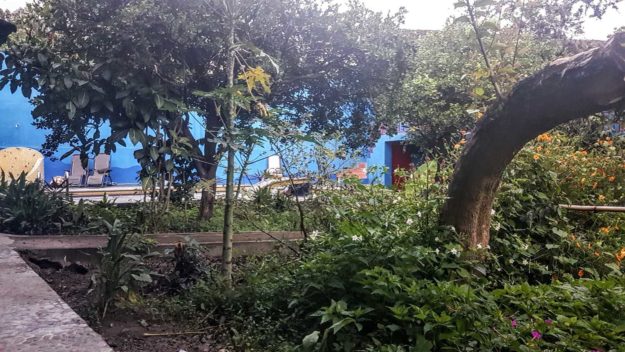 Hidden Garden Jardín Escondido