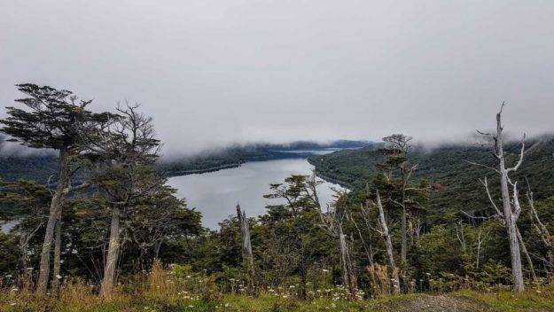 Bahia Lapataia, Tierra del Fuego Province, Argentina